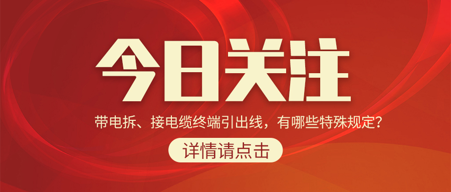 带电拆、接电缆终端引出线，有哪些特殊规定？